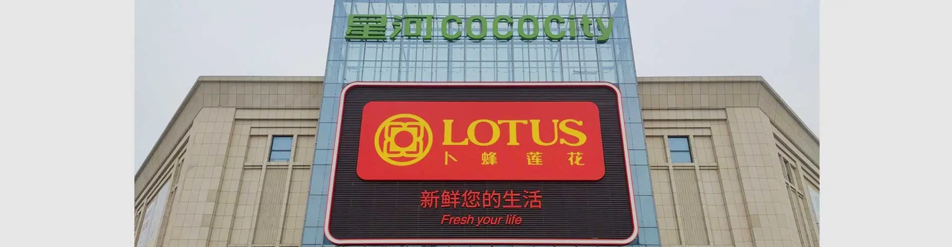 卜蜂莲花-零售连锁