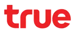 TRUE-消费电子